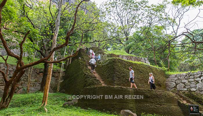 Sigiriya - Leeuwenrots