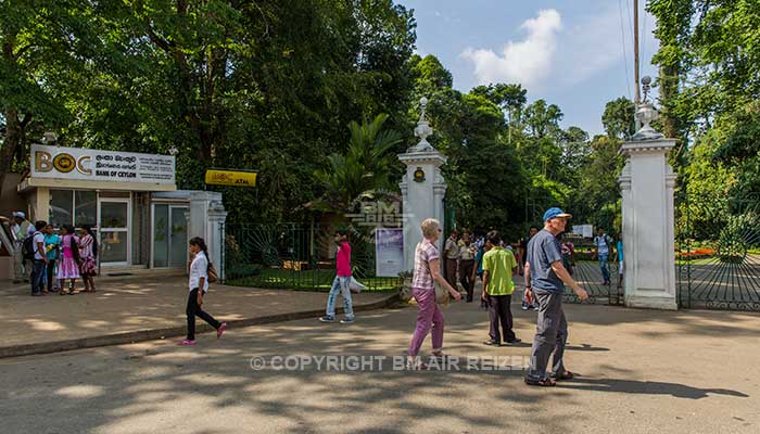 Peradeniya - Botanische Tuin