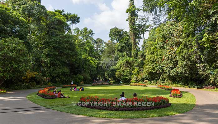 Peradeniya - Botanische Tuin