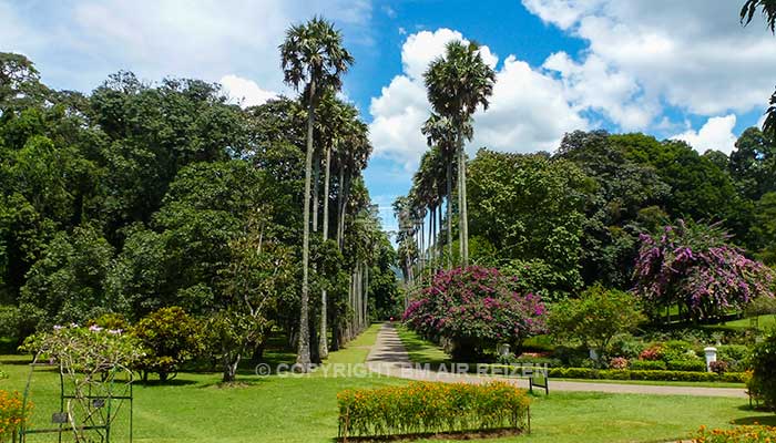 Peradeniya - Botanische Tuin