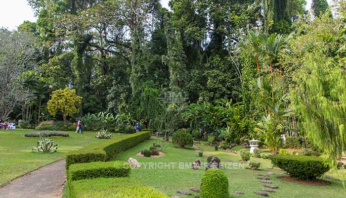 Peradeniya - Botanische Tuin