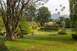 Peradeniya - botanische tuin