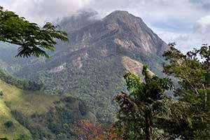 Knuckles Mountain Range