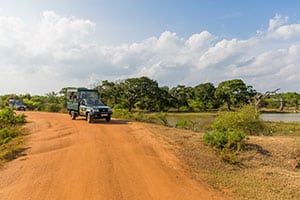Uda Walawe National Park