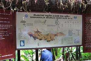 Sinharaja Rain Forest