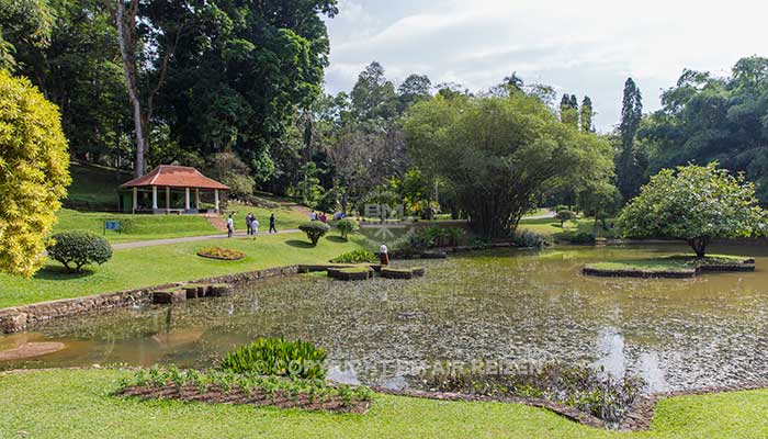 Peradeniya - botanische tuin