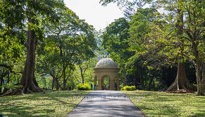 Peradeniya - botanische tuin