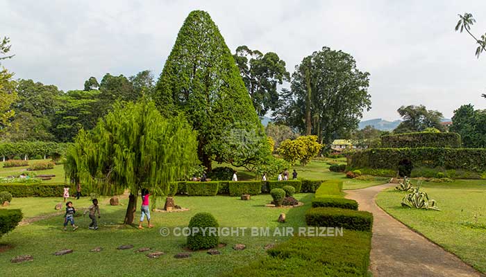 Peradeniya - botanische tuin