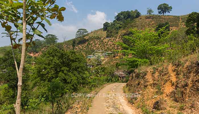 Kitulgala
