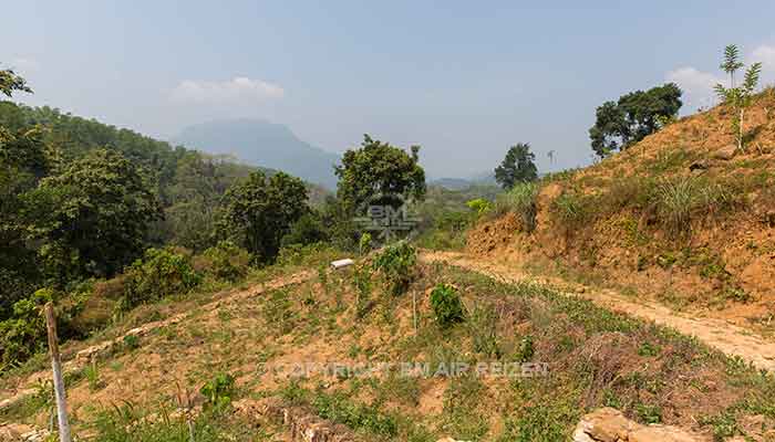 Kitulgala