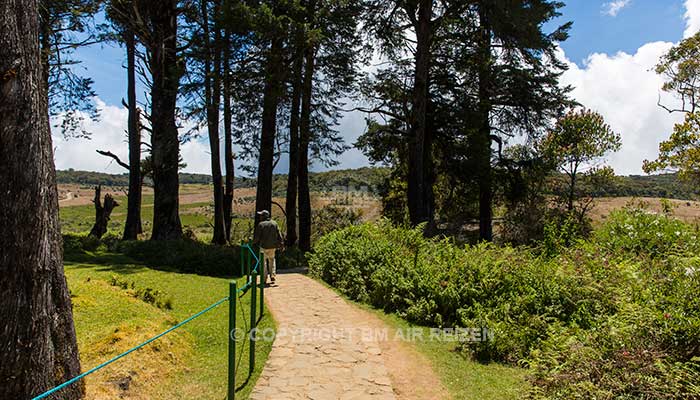 Horton Plains National Park