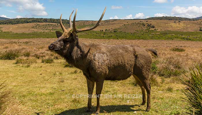 Horton Plains National Park