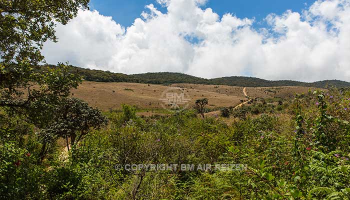 Horton Plains National Park