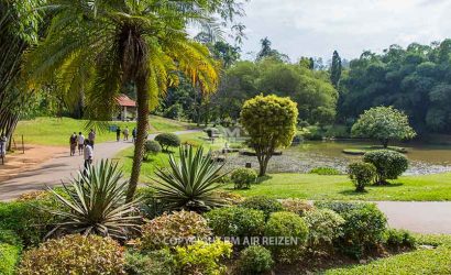 Peradeniya - botanische tuin