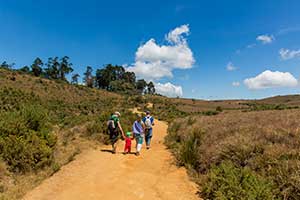 Horton Plains