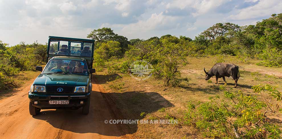 Jeepsafari Yala National Park