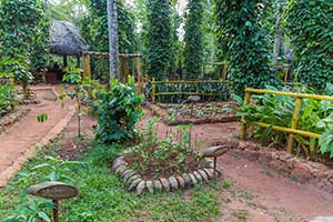 Matale - kruidentuin