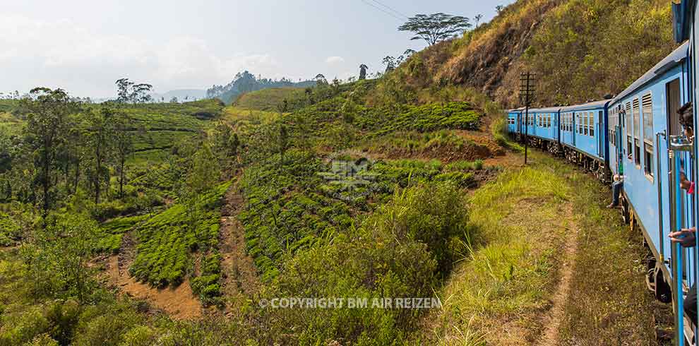 Treinreis theeplantages