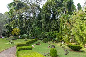 Peradeniya - botanische tuin