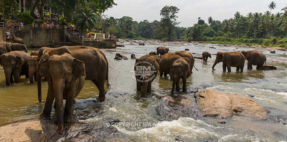 Sri Lanka Discovery Tour