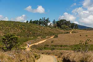 Horton Plains