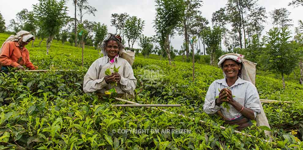 sri_lanka_heritage_tour_04