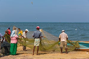 Negombo - vismarkt