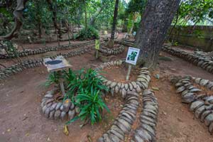 Matale - kruidentuin