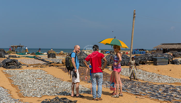 Negombo - vismarkt