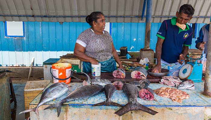 Negombo - vismarkt