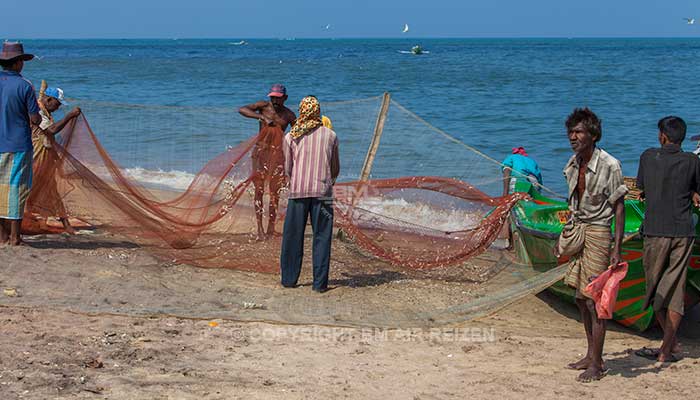 Negombo - vismarkt