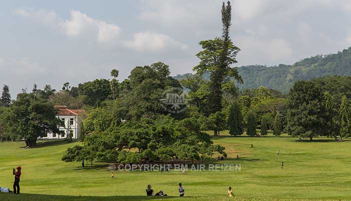 Peradeniya - botanische tuin