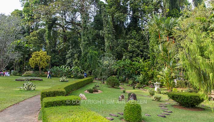 Peradeniya - botanische tuin