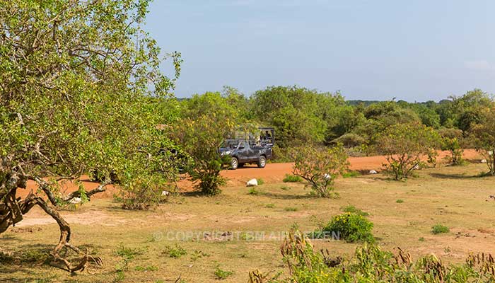 Uda Walawe National Park