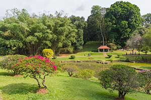 Peradeniya - botanische tuin