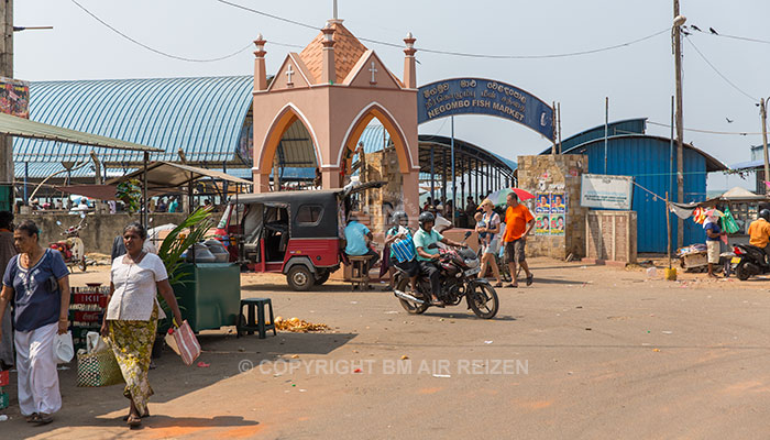 Negombo - vismarkt