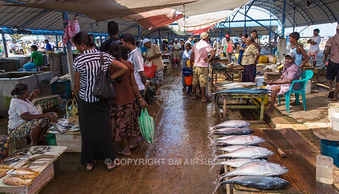 Negombo - vismarkt