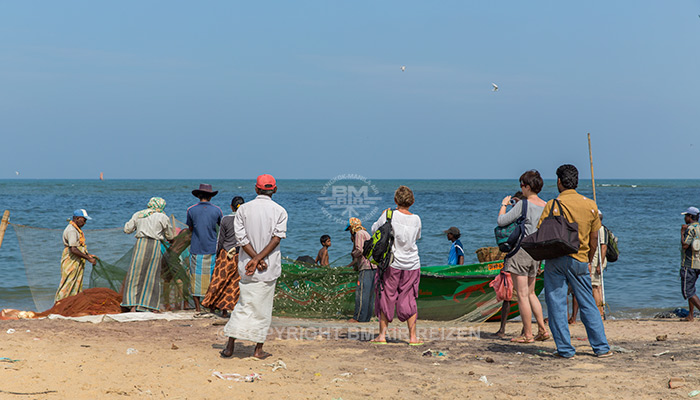 Negombo - vismarkt