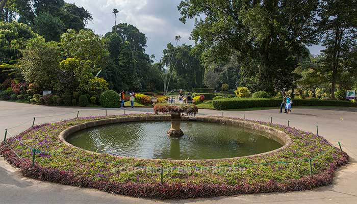 Peradeniya - botanische tuin