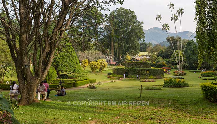 Peradeniya - botanische tuin