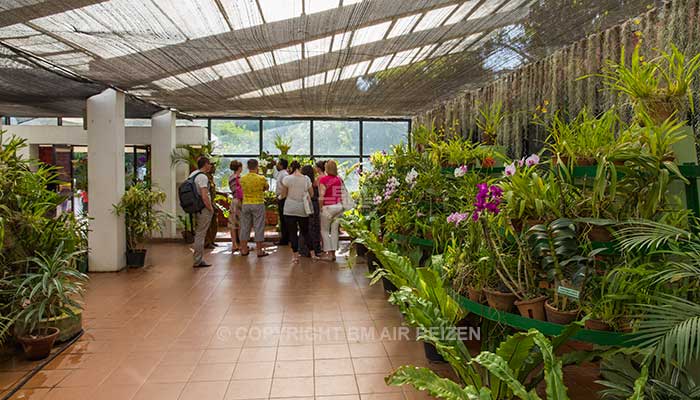 Peradeniya - botanische tuin