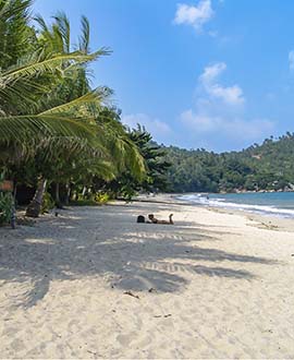 Koh Phangan - Thailand