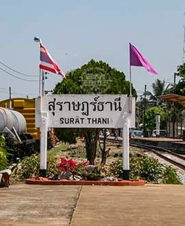 Surat Thani