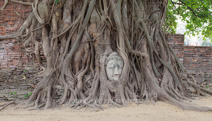 Ayutthaya - Wat Mahathat