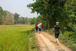 Mae Tang - trekking