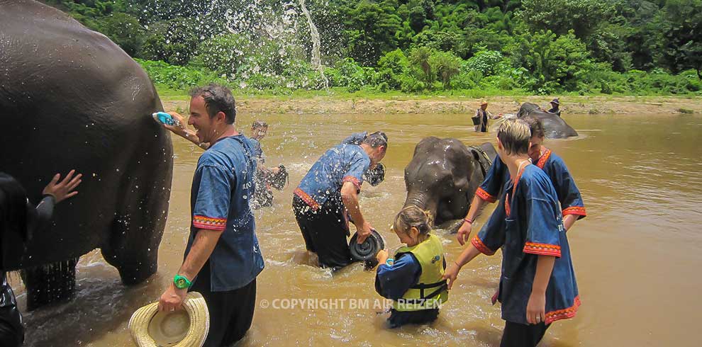 Mae Tang - Elephant Care
