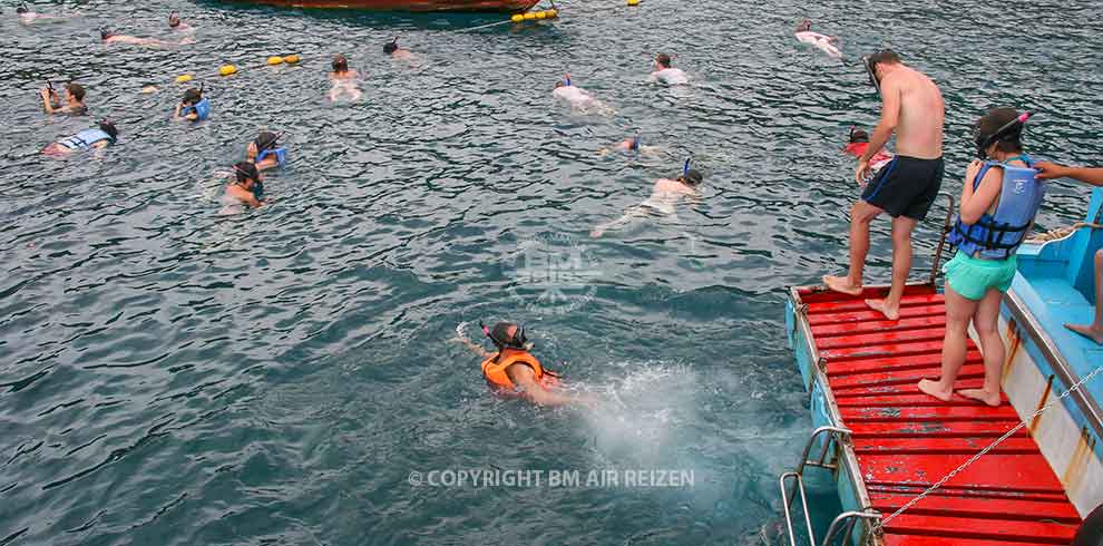 Koh Tao - snorkelen