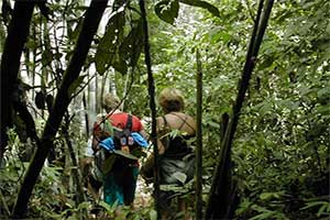 Khao Sok National Park - Jungle Trek