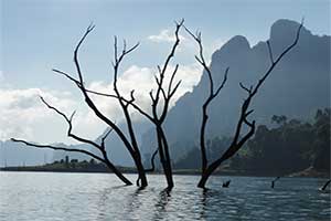 Khao Sok National Park - boottocht
