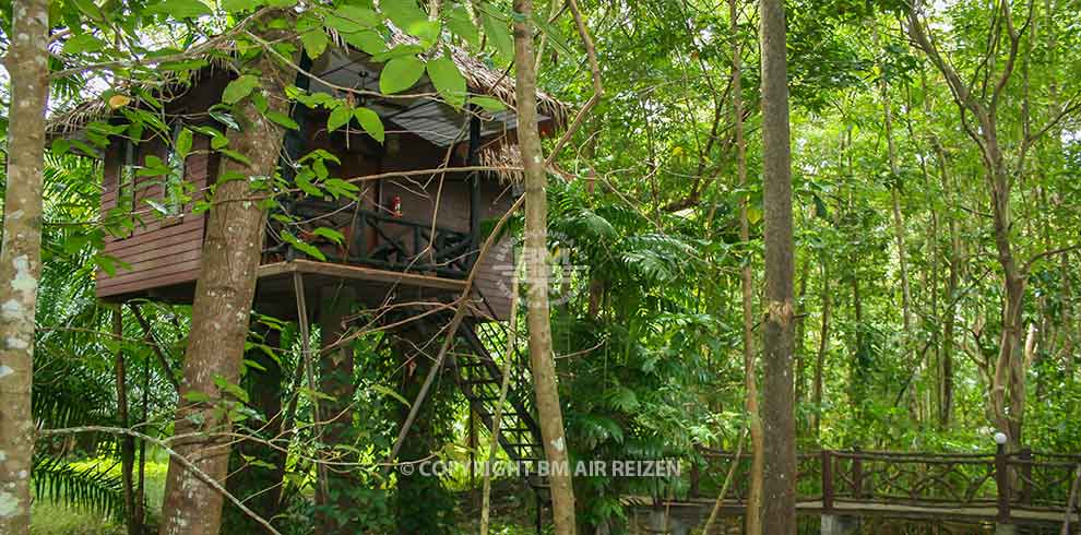 Khao Sok Paradise Resort - Tree House